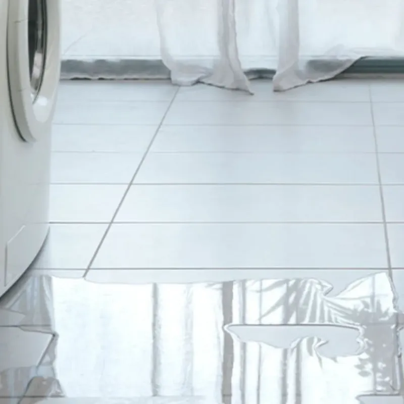 Appliance Leak Cleanup in Homer, IL