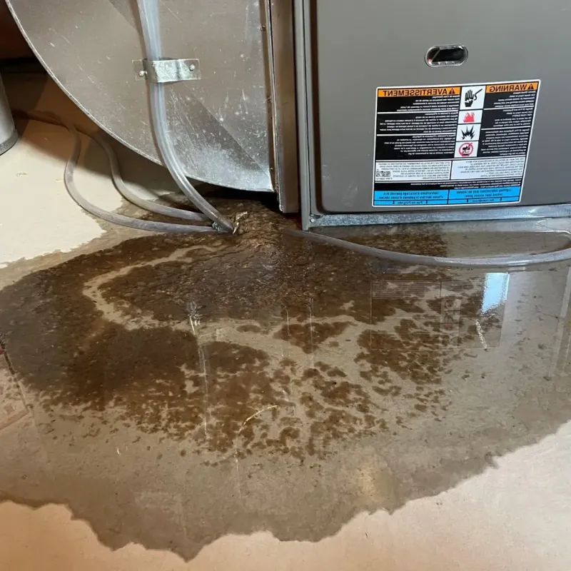 Pipe Burst and Leak Restoration in Homer, IL