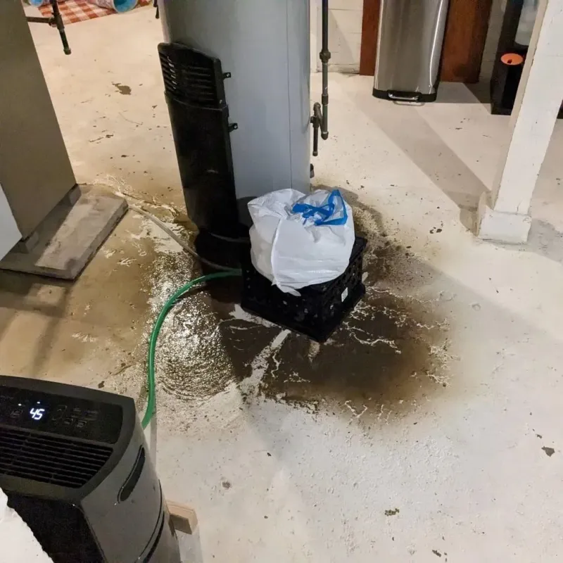 Sewage Backup Cleanup Service in Homer, IL